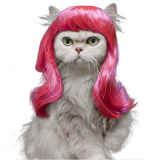 Kitten Wig
