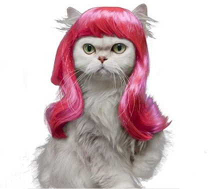 Kitten Wig